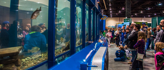 Bass Tank demonstration